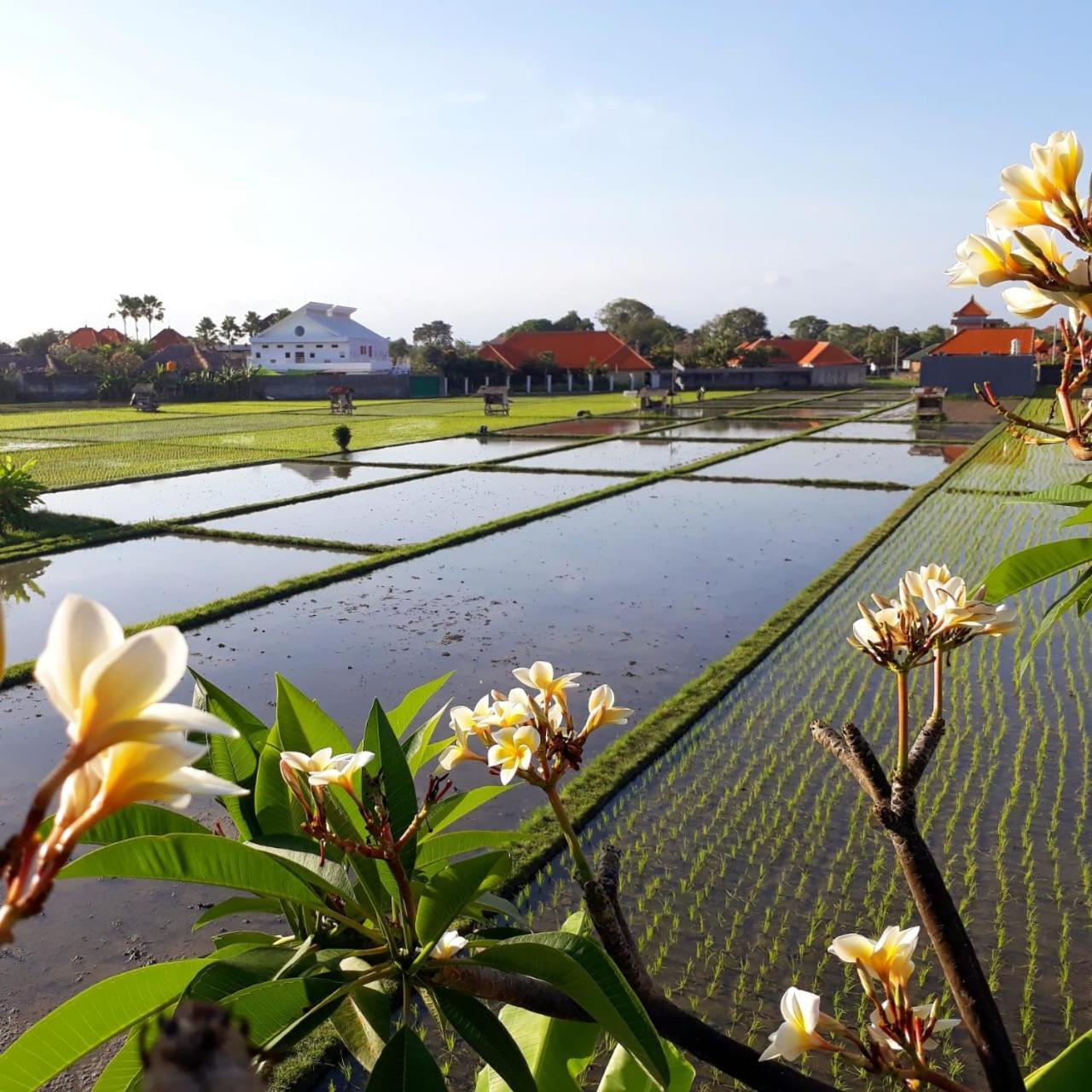 The Avani Villas Kuta Lombok Dış mekan fotoğraf